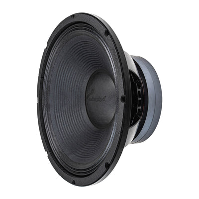 15" Precision Professional Woofer (NWA-15204D)