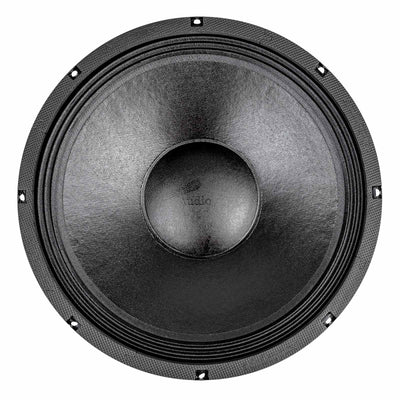 15" Professional Public Address Woofer (NWA-1593)