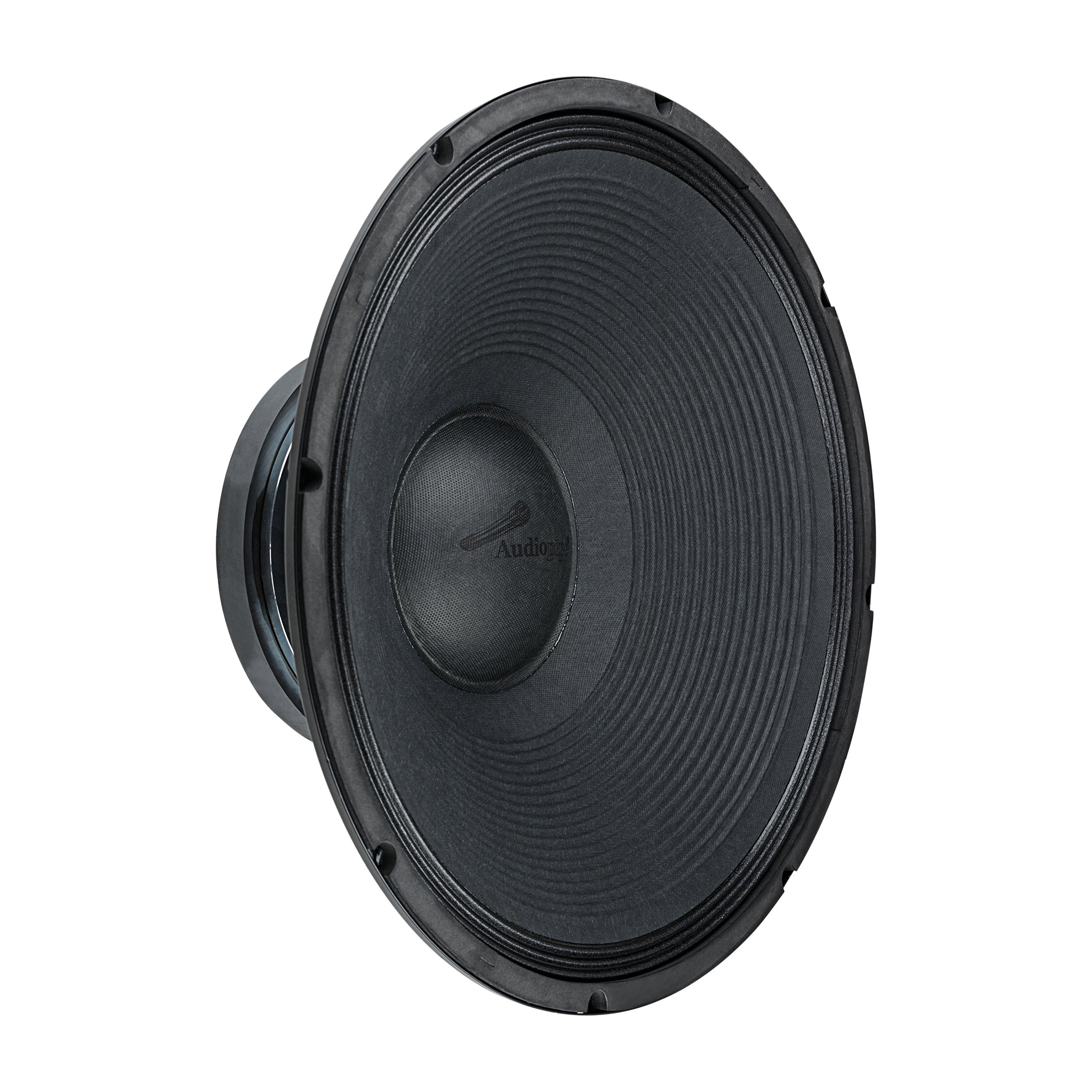 18" Professional Public Address Woofer (NWA-18110-4)