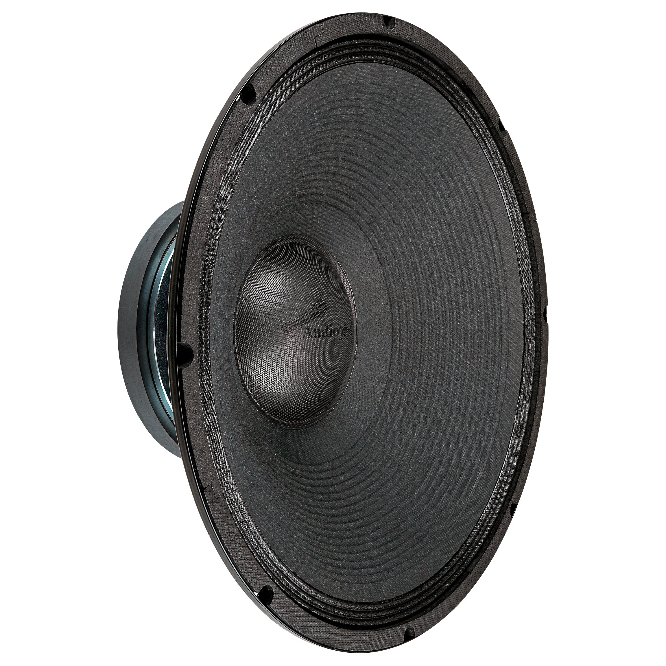 18" Professional Public Address Woofer (NWA-18110-8)