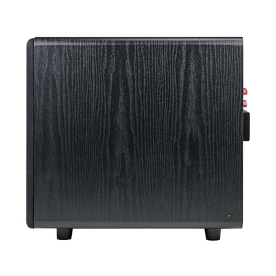 10" Low Frequency Powered Home Theater Subwoofer (SB-W500)