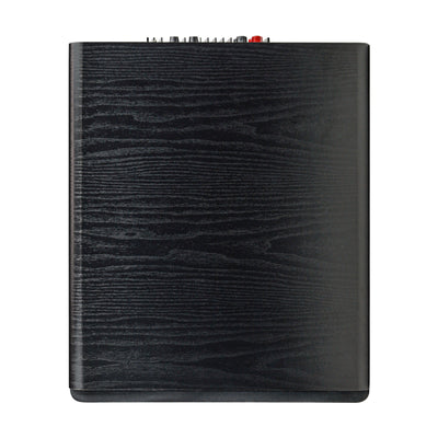 10" Low Frequency Powered Home Theater Subwoofer (SB-W500)