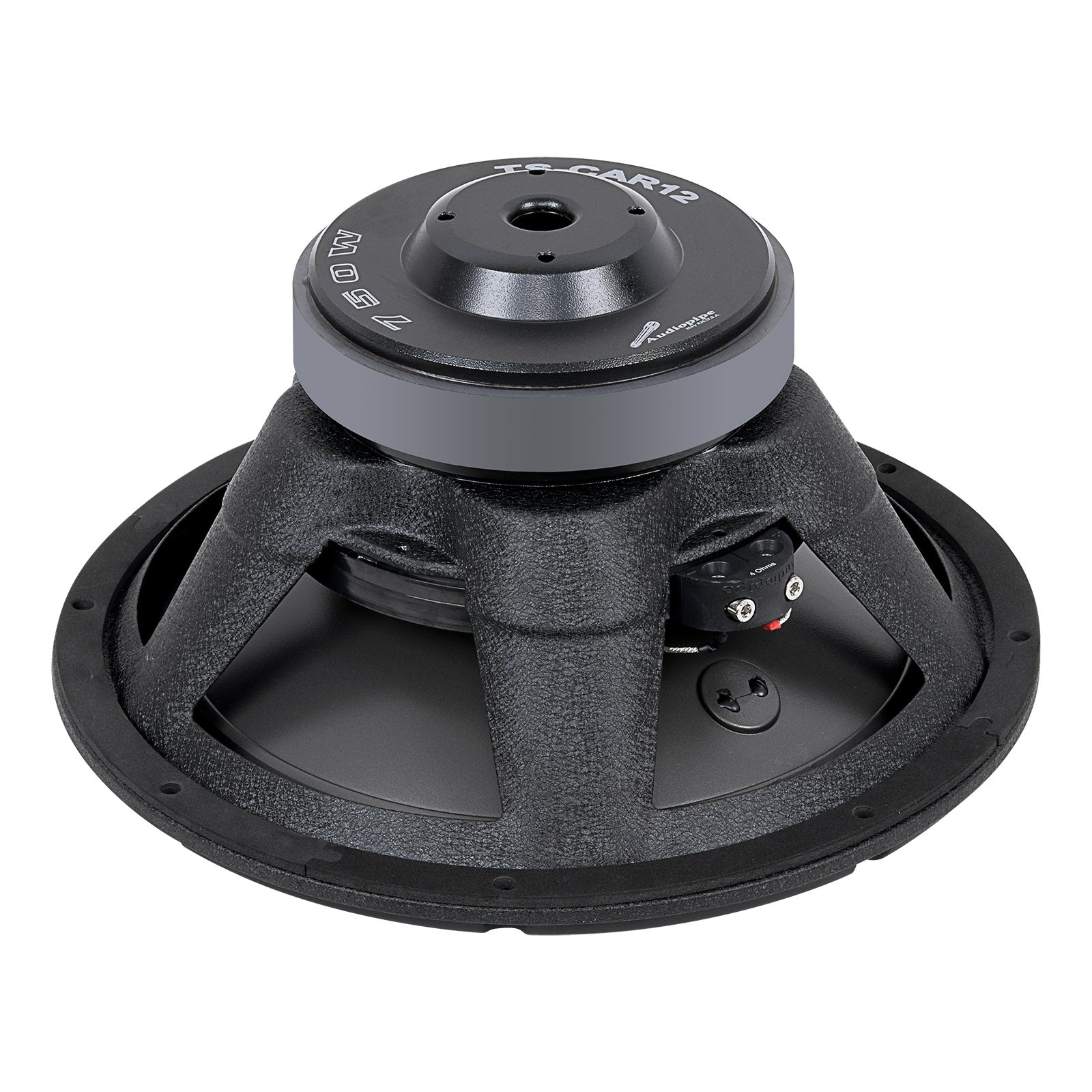 12” Edge Extension Technology PP Cone Woofer (TS-CAR12), Sold