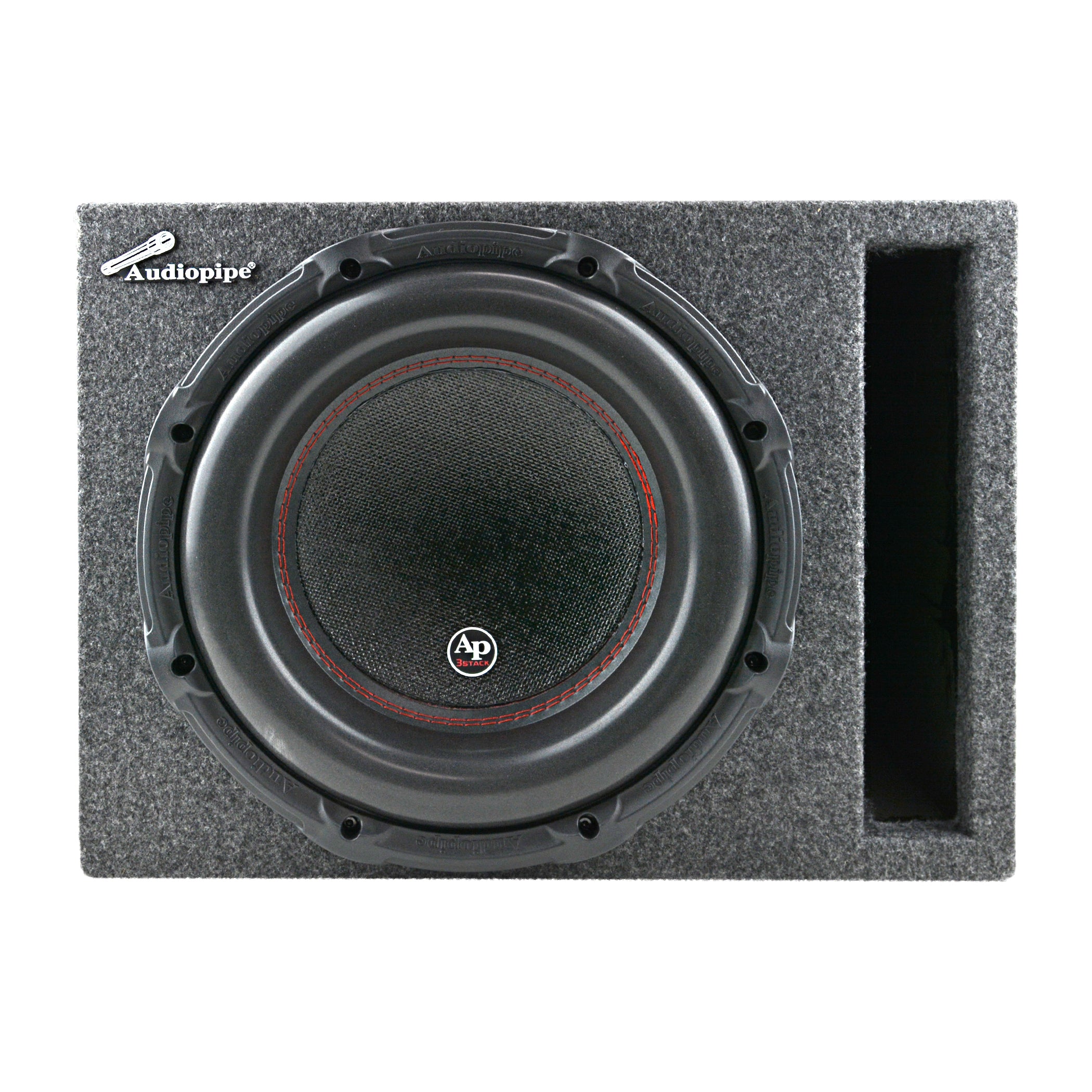 APSV-3001 12" High Performance Enclosure