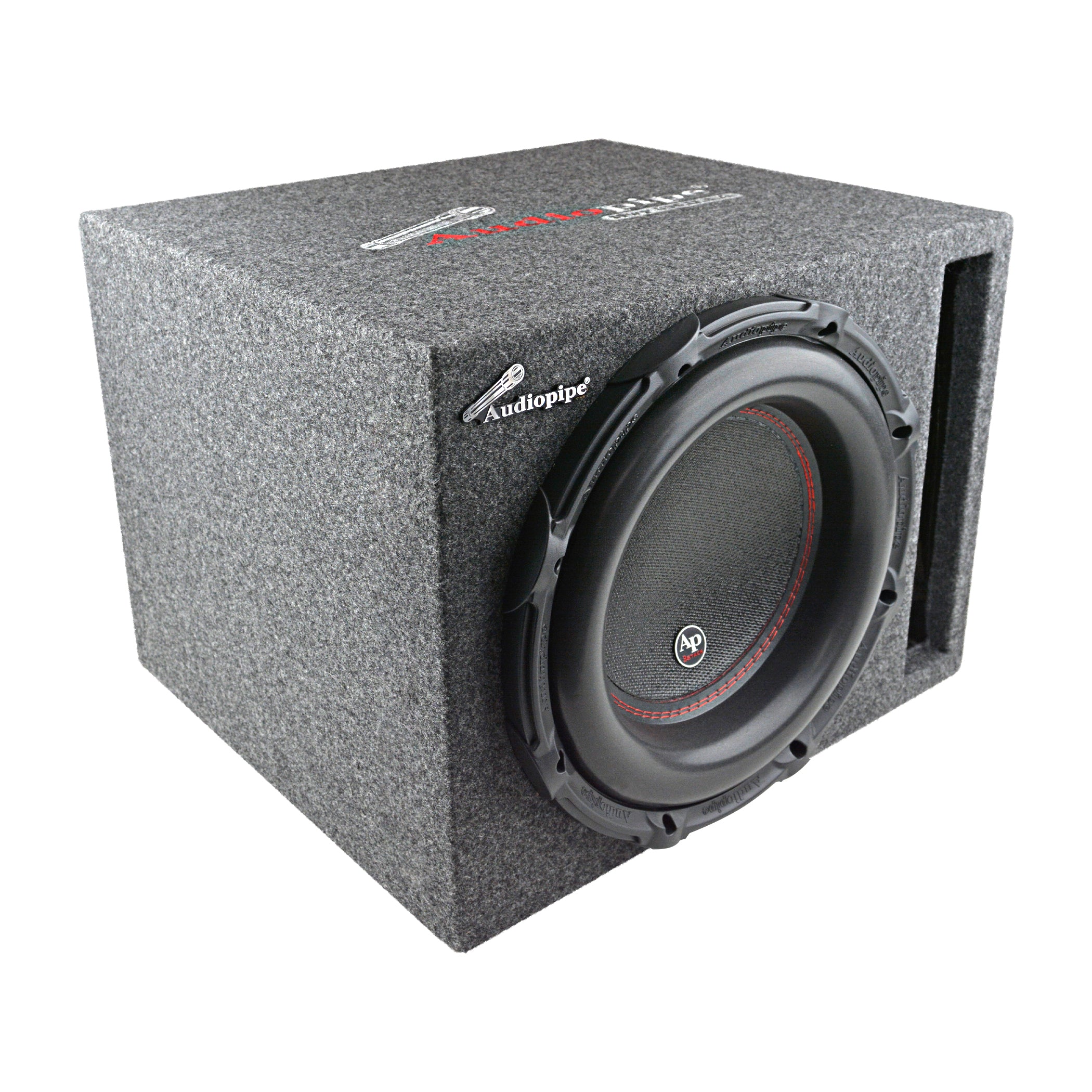 APSV-3001 12" High Performance Enclosure