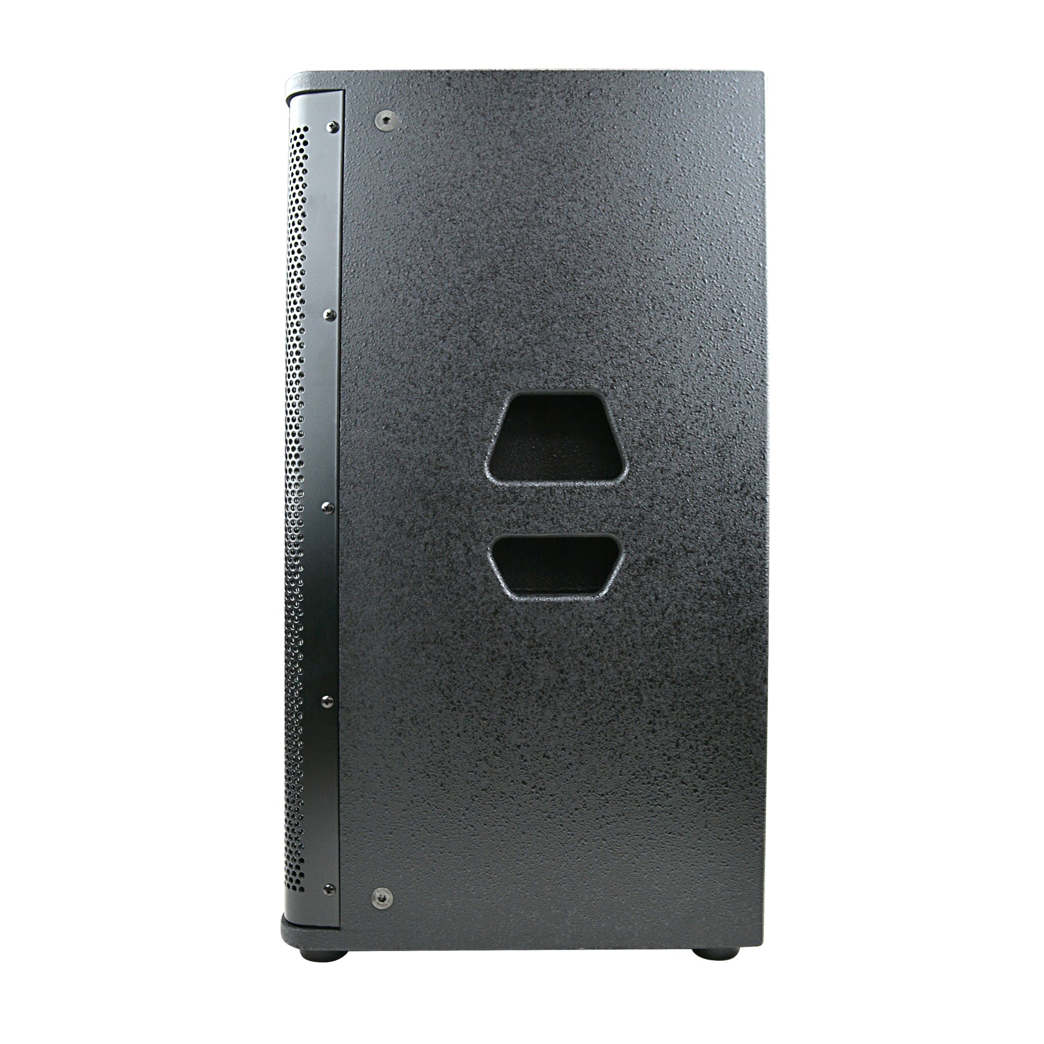 12” Professional 2-Way Passive Loudspeaker (DJAK-P12)