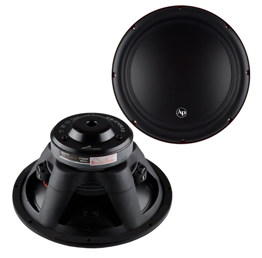 TS-CAR12 Subwoofer